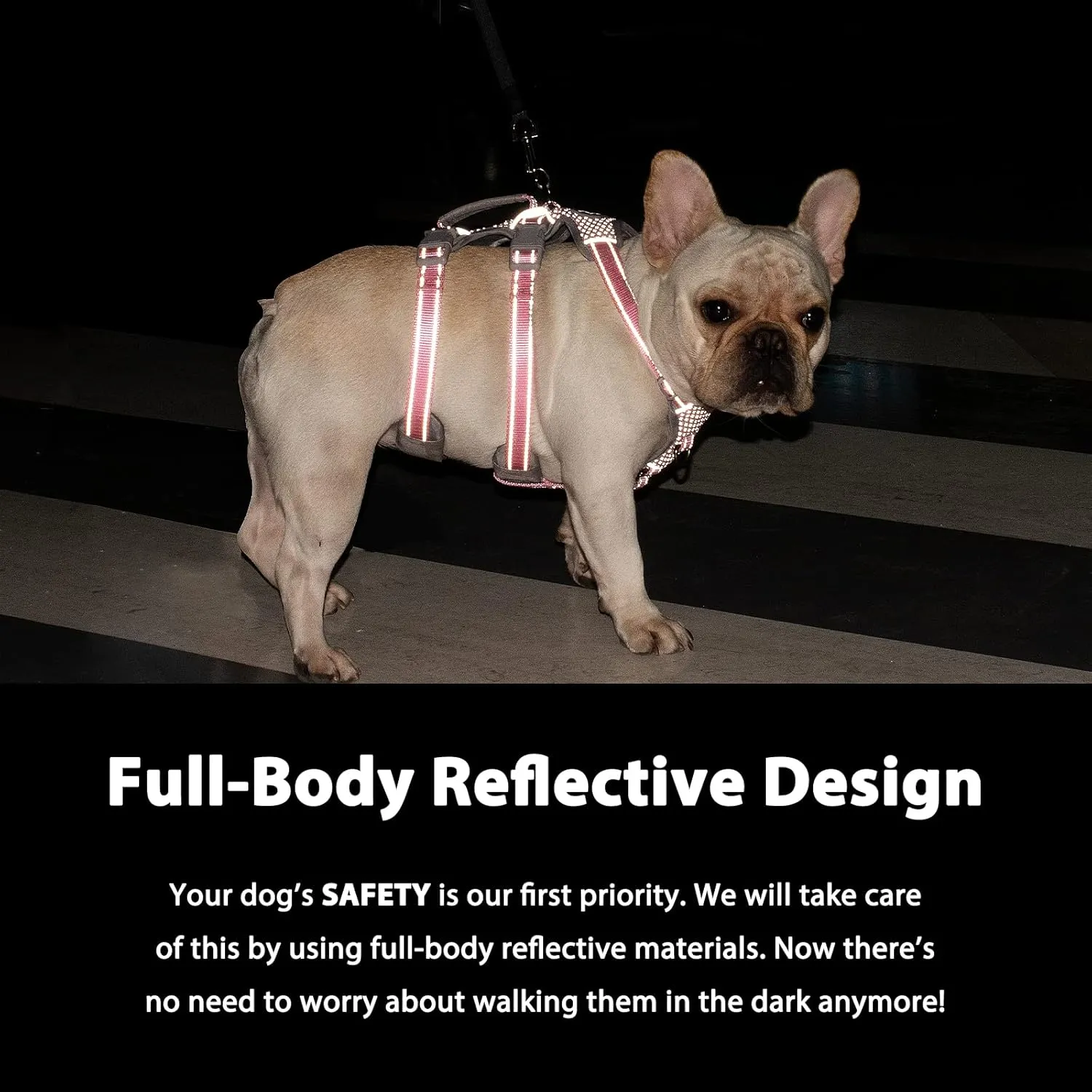Escape Proof Dog Harness, No Pull Reflective Harness with Lift Handle, Adjustable Pet Vest with Front and Back Leash Clips for Small Medium Large Dogs Walking Hiking Training (Black,L)
