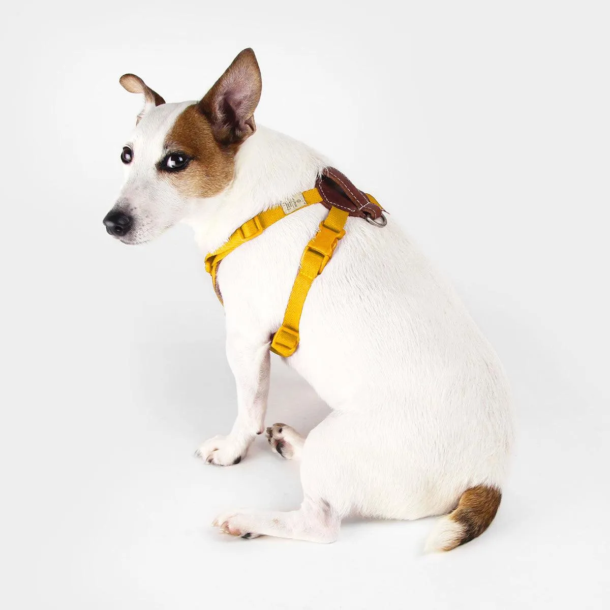 Explore| Adjustable Harness with Leather Yellow