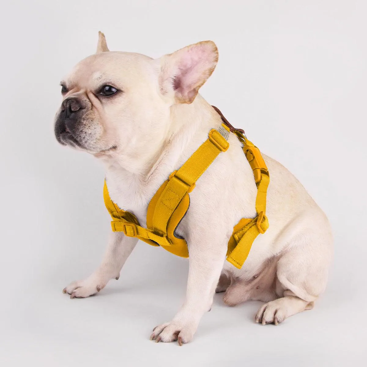 Explore| Adjustable Harness with Leather Yellow