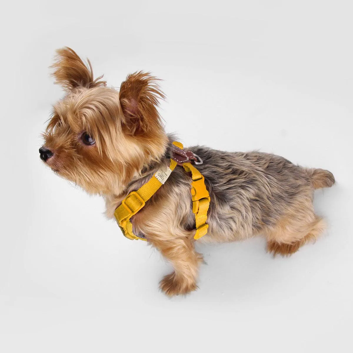 Explore| Adjustable Harness with Leather Yellow