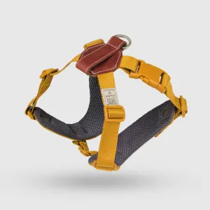 Explore| Adjustable Harness with Leather Yellow