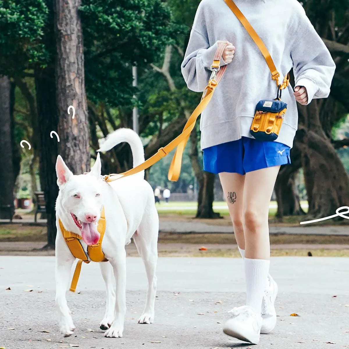 Explore| Adjustable Harness with Leather Yellow
