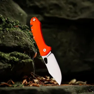 Folding Pocket Knife, 3.4" D2 Blade, EDC Knife Tactical Knife for Camping Hiking Hunting Indoor and Outdoor Mens,Women Gift(Orange G10)…