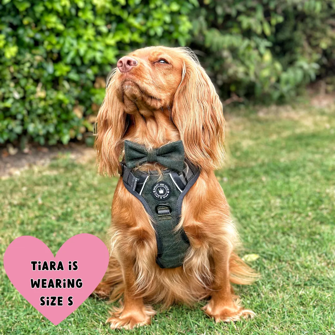 Forest Tweed Dog Harness – Stylish, Adjustable & Reflective