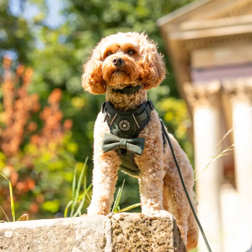Forest Tweed Dog Harness – Stylish, Adjustable & Reflective