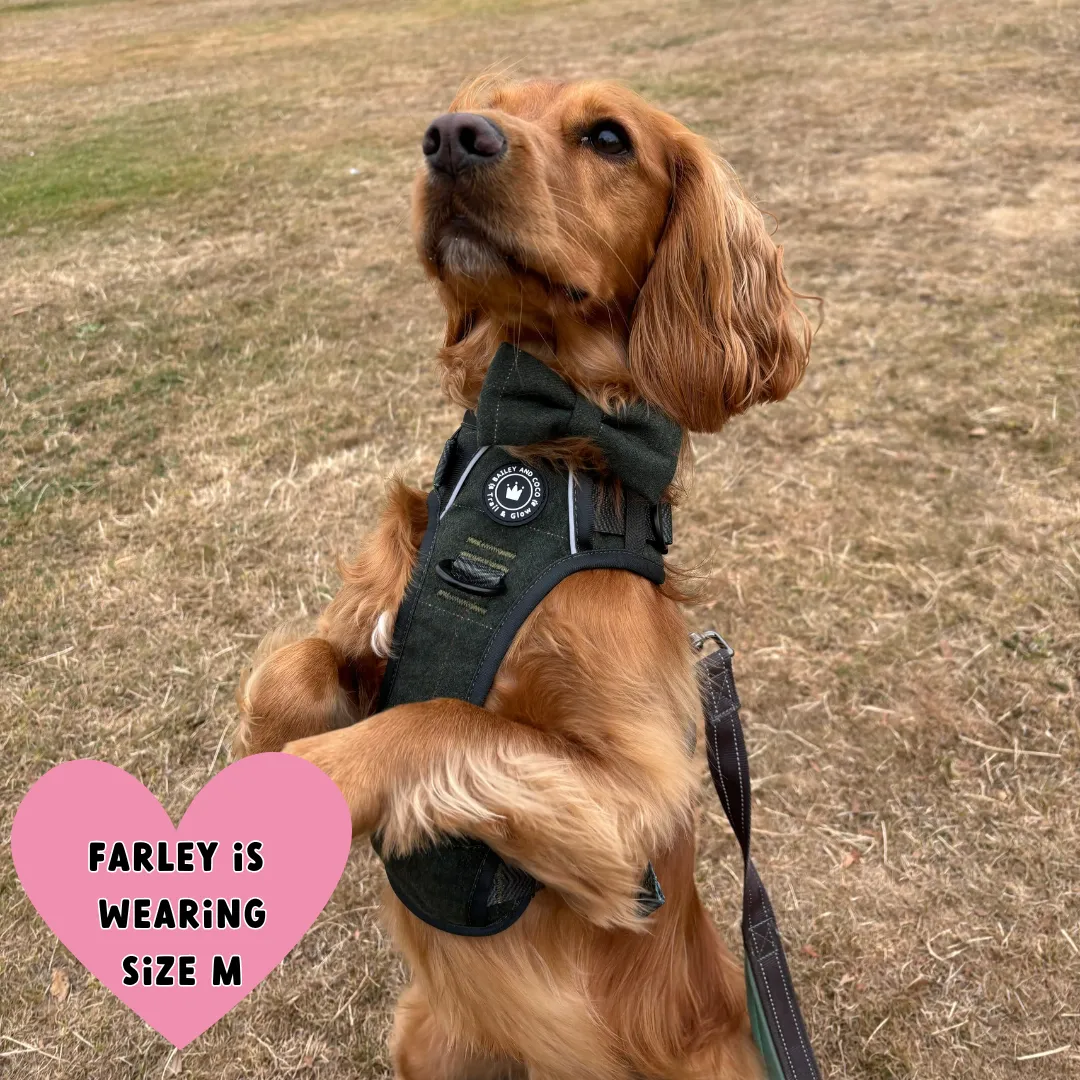 Forest Tweed Dog Harness – Stylish, Adjustable & Reflective