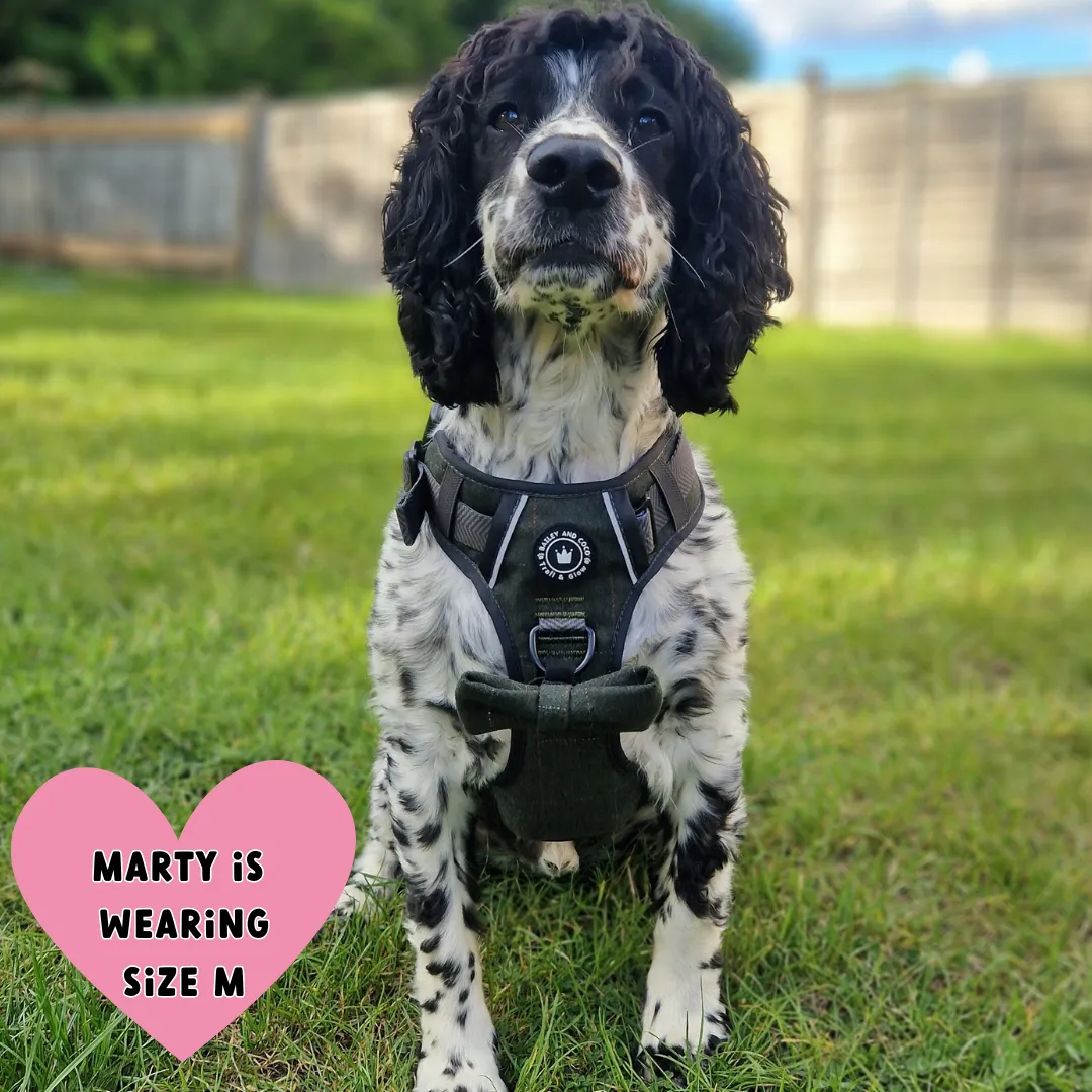 Forest Tweed Dog Harness – Stylish, Adjustable & Reflective