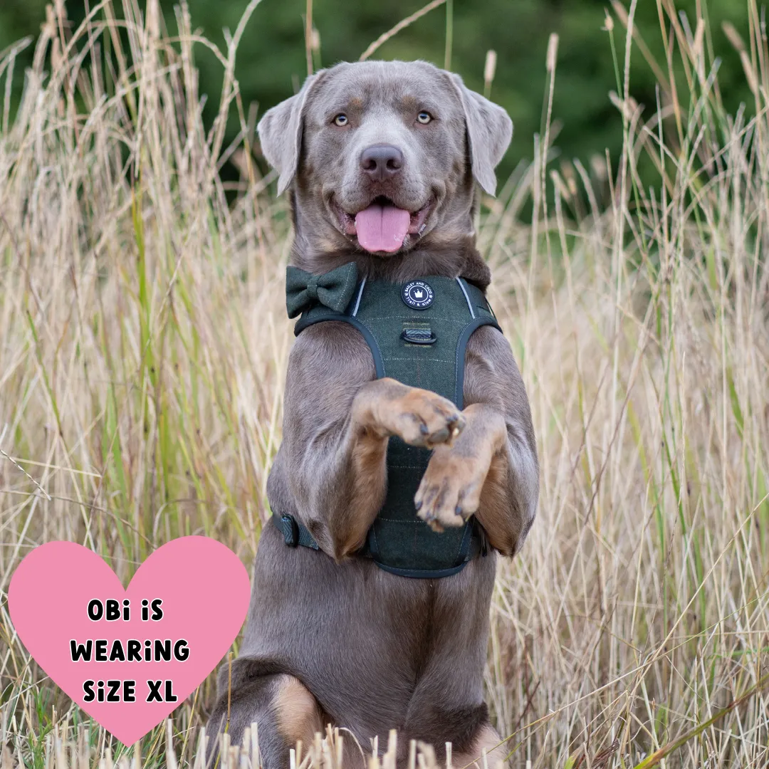 Forest Tweed Dog Harness – Stylish, Adjustable & Reflective