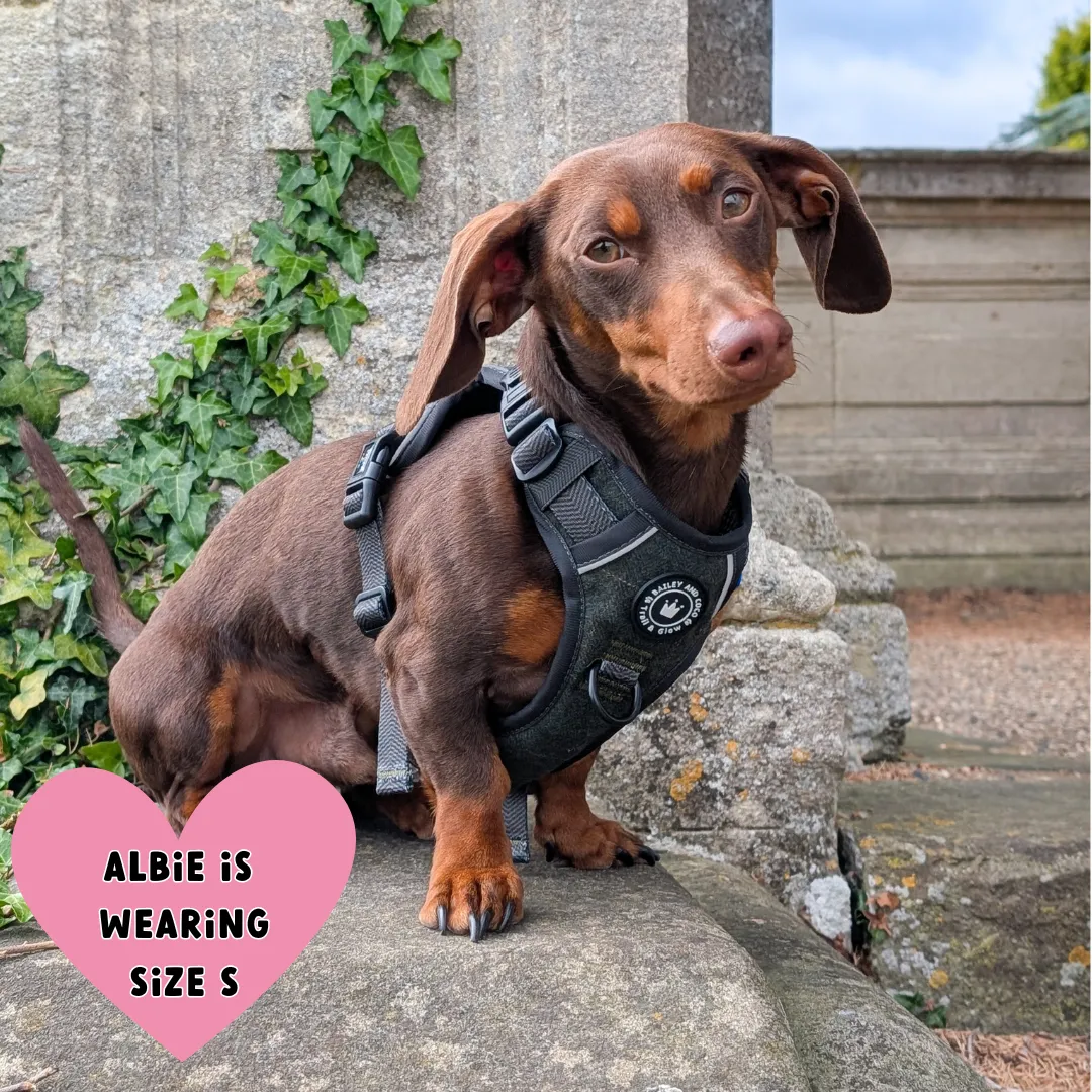Forest Tweed Dog Harness – Stylish, Adjustable & Reflective