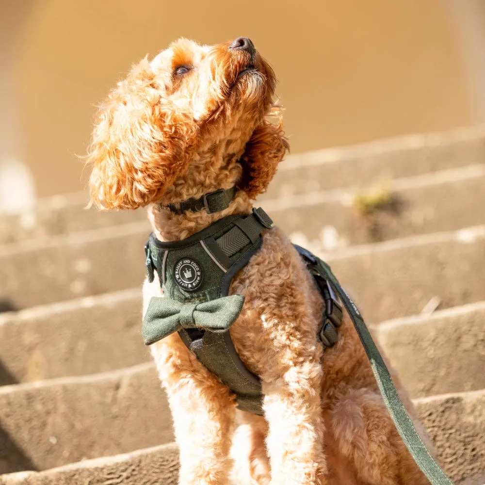 Forest Tweed Dog Harness – Stylish, Adjustable & Reflective