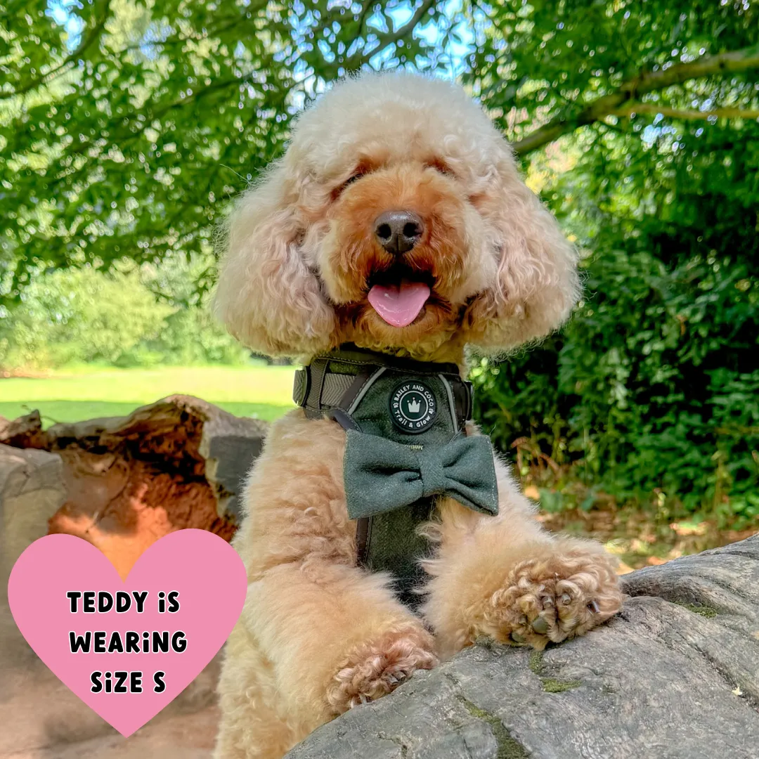 Forest Tweed Dog Harness – Stylish, Adjustable & Reflective