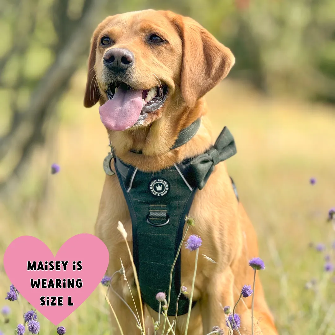 Forest Tweed Dog Harness – Stylish, Adjustable & Reflective