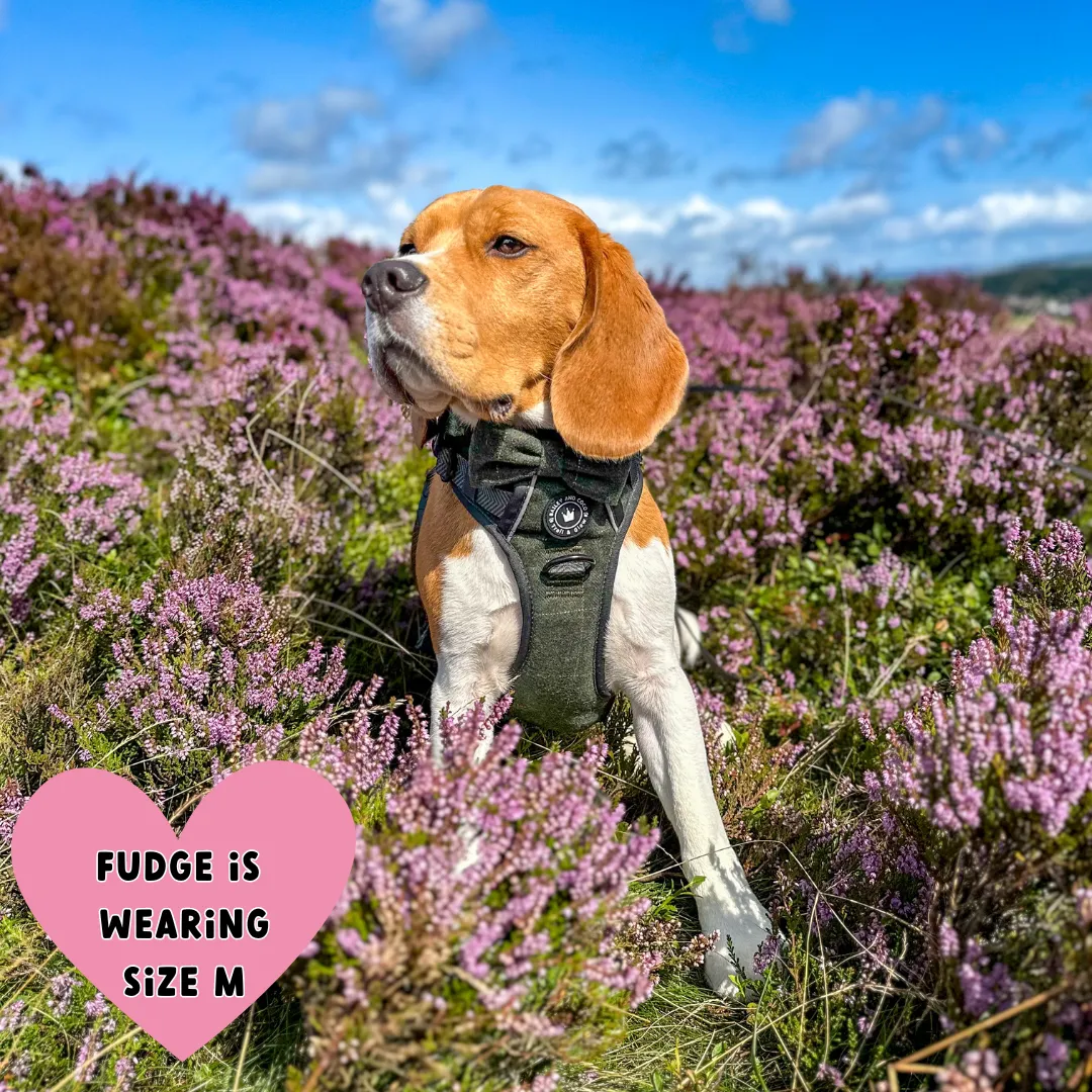 Forest Tweed Dog Harness – Stylish, Adjustable & Reflective