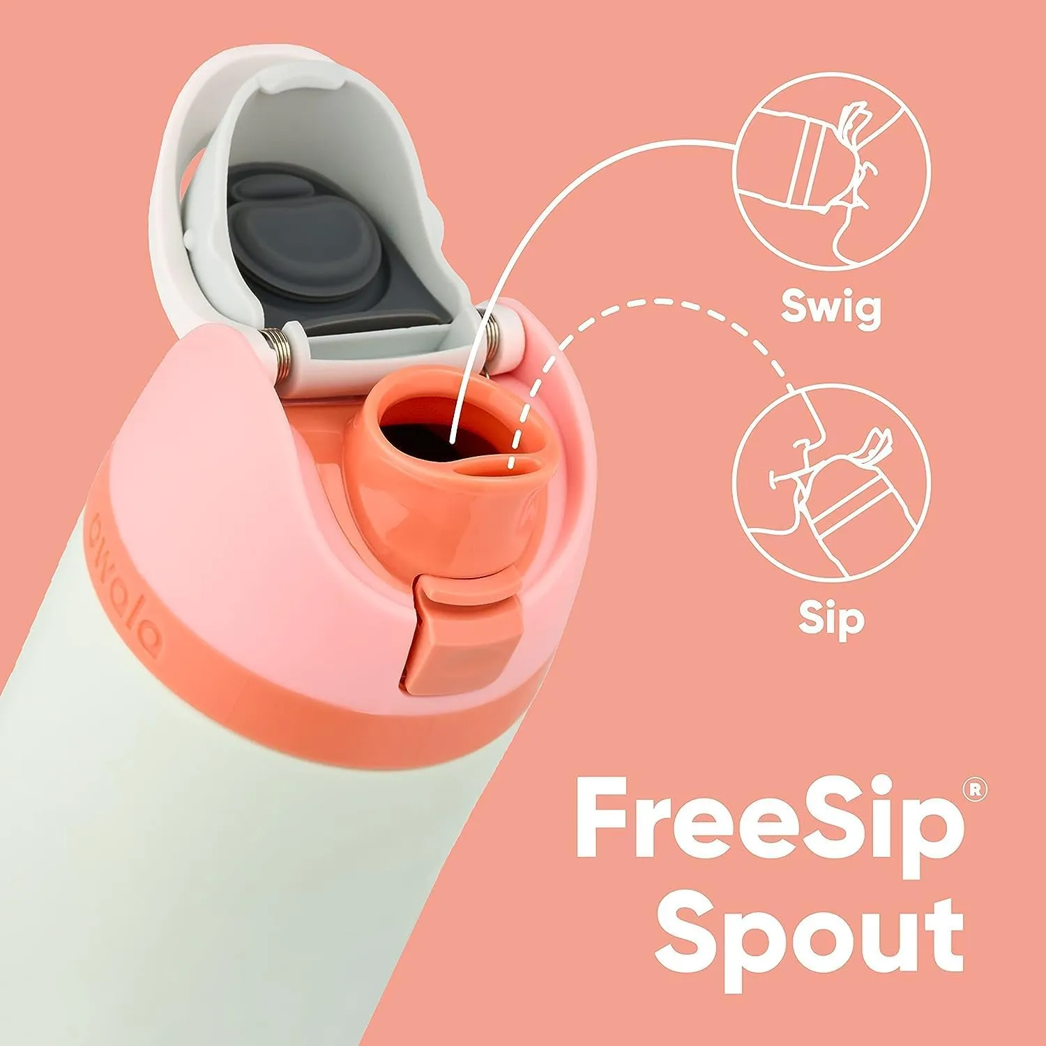 FreeSip Insulated Stainless Steel Water Bottle with Straw for Sports, Travel, and School BPA-Free Sports Water Bottle, 24 oz, Surfs Edge