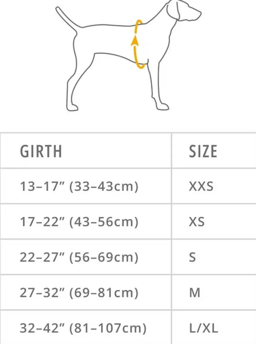 Front Range Harness - Basalt Gray