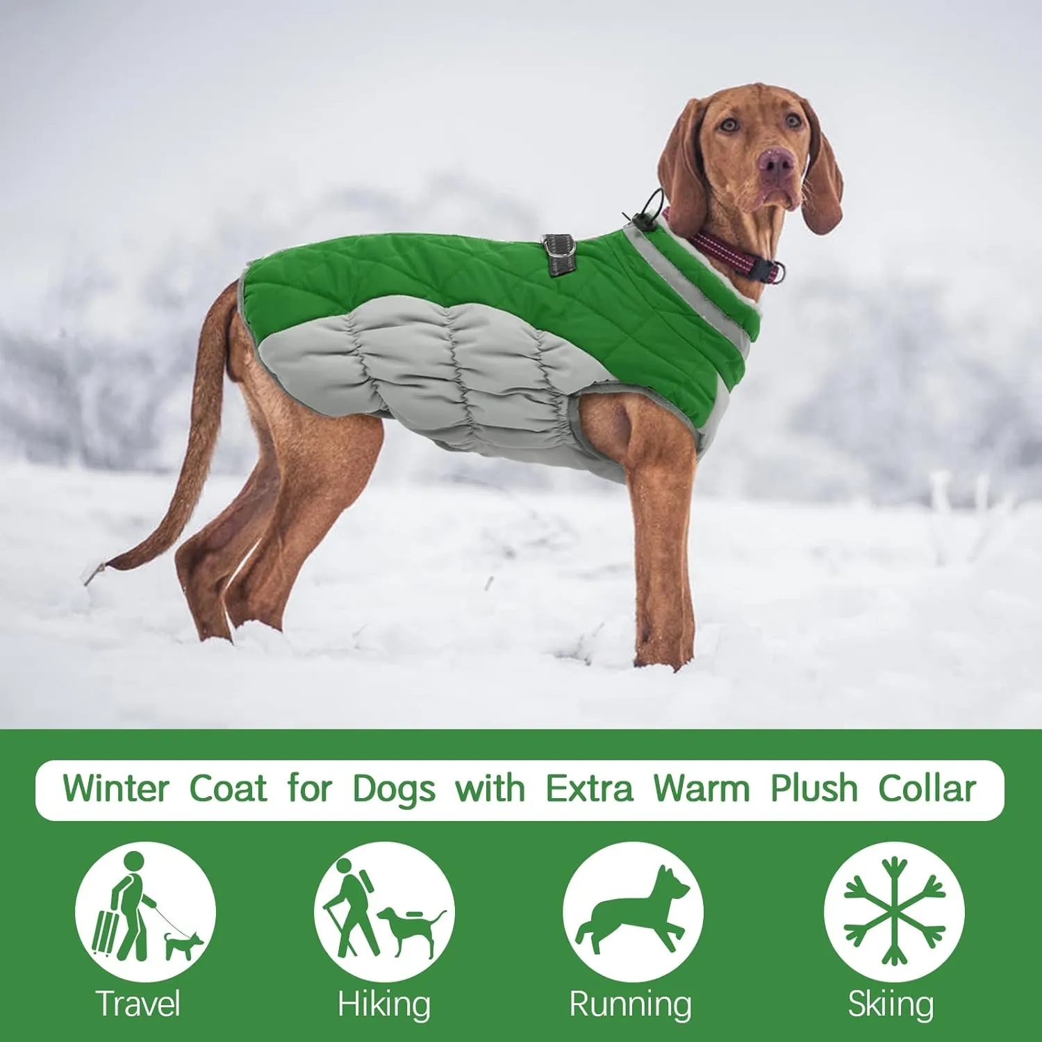 FUAMEY Dog Coat - Warm Winter Jacket with Padded Fleece, Reflective, Waterproof & Windproof, Built-in Harness, Green, X-Small