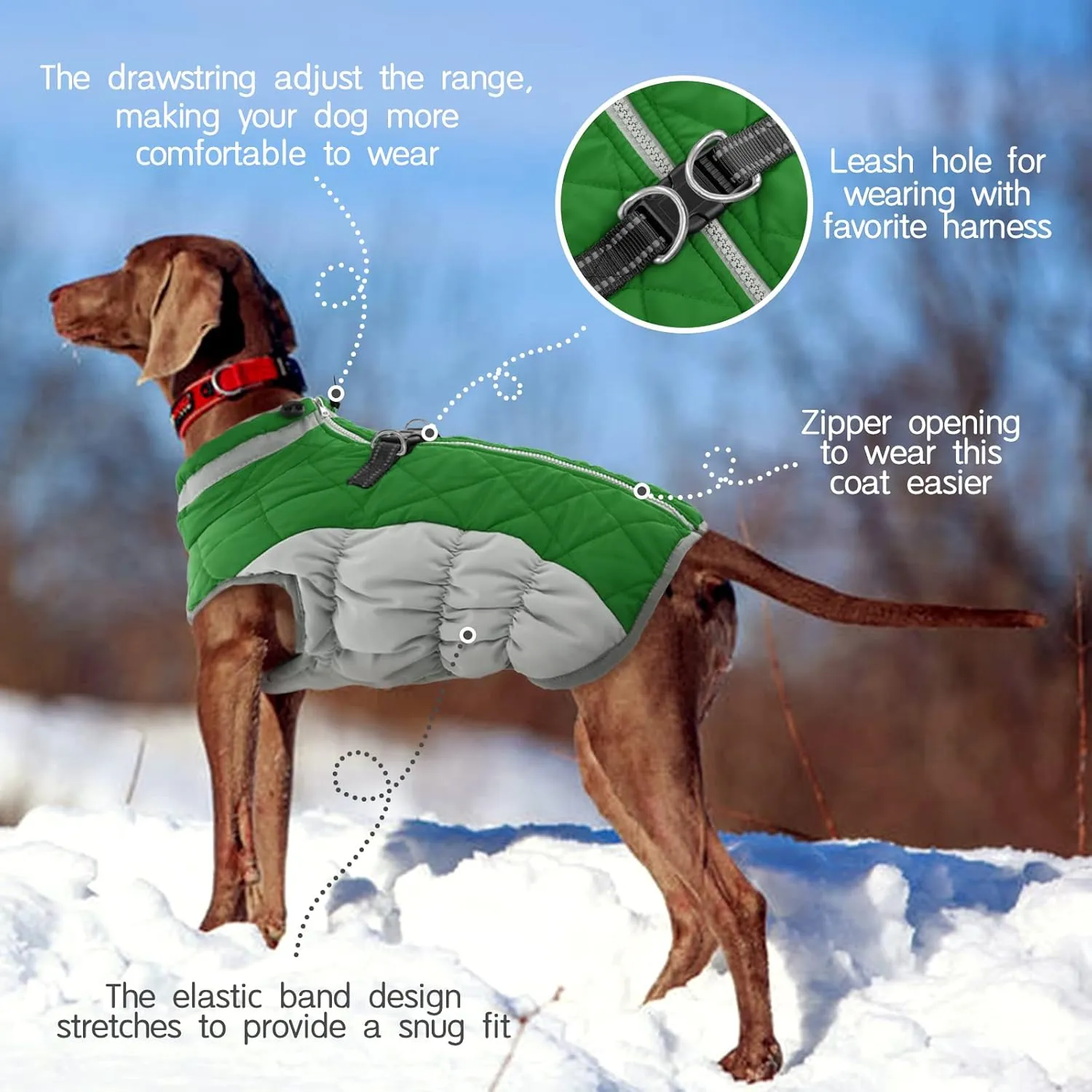 FUAMEY Dog Coat - Warm Winter Jacket with Padded Fleece, Reflective, Waterproof & Windproof, Built-in Harness, Green, X-Small