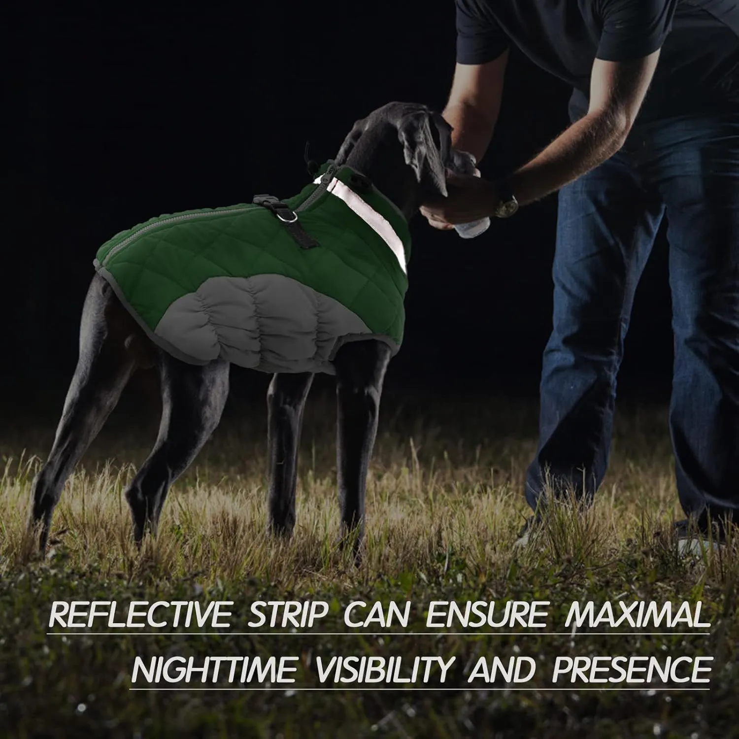 FUAMEY Dog Coat - Warm Winter Jacket with Padded Fleece, Reflective, Waterproof & Windproof, Built-in Harness, Green, X-Small