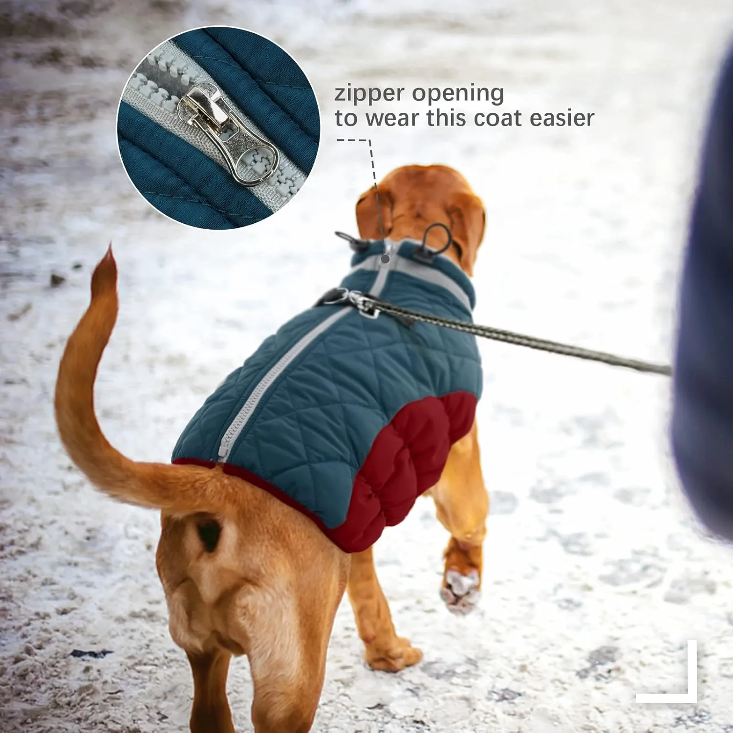 FUAMEY Dog Winter Jacket, Cold Weather Coat with Padded Dog Vest and Harness, Water Resistant Pet Apparel with Back Zipper, Dark Blue, XXXL