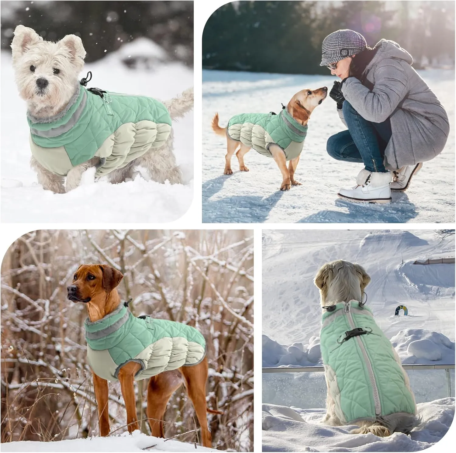 FUAMEY Dog Winter Jacket, Padded Dog Vest with Harness, Water Resistant Coat for Small to Large Dogs, Mint Green XL