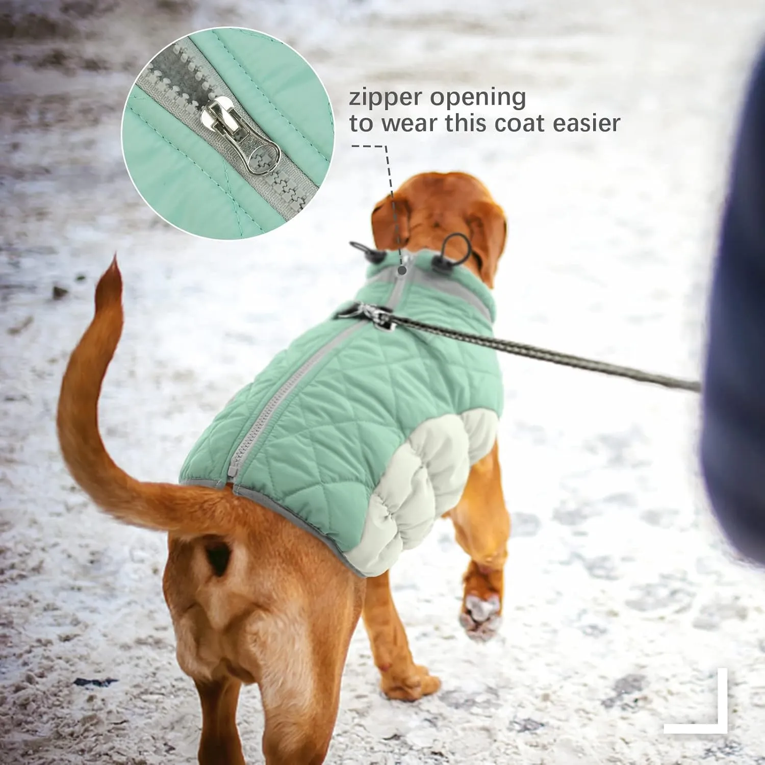 FUAMEY Dog Winter Jacket, Padded Dog Vest with Harness, Water Resistant Coat for Small to Large Dogs, Mint Green XL