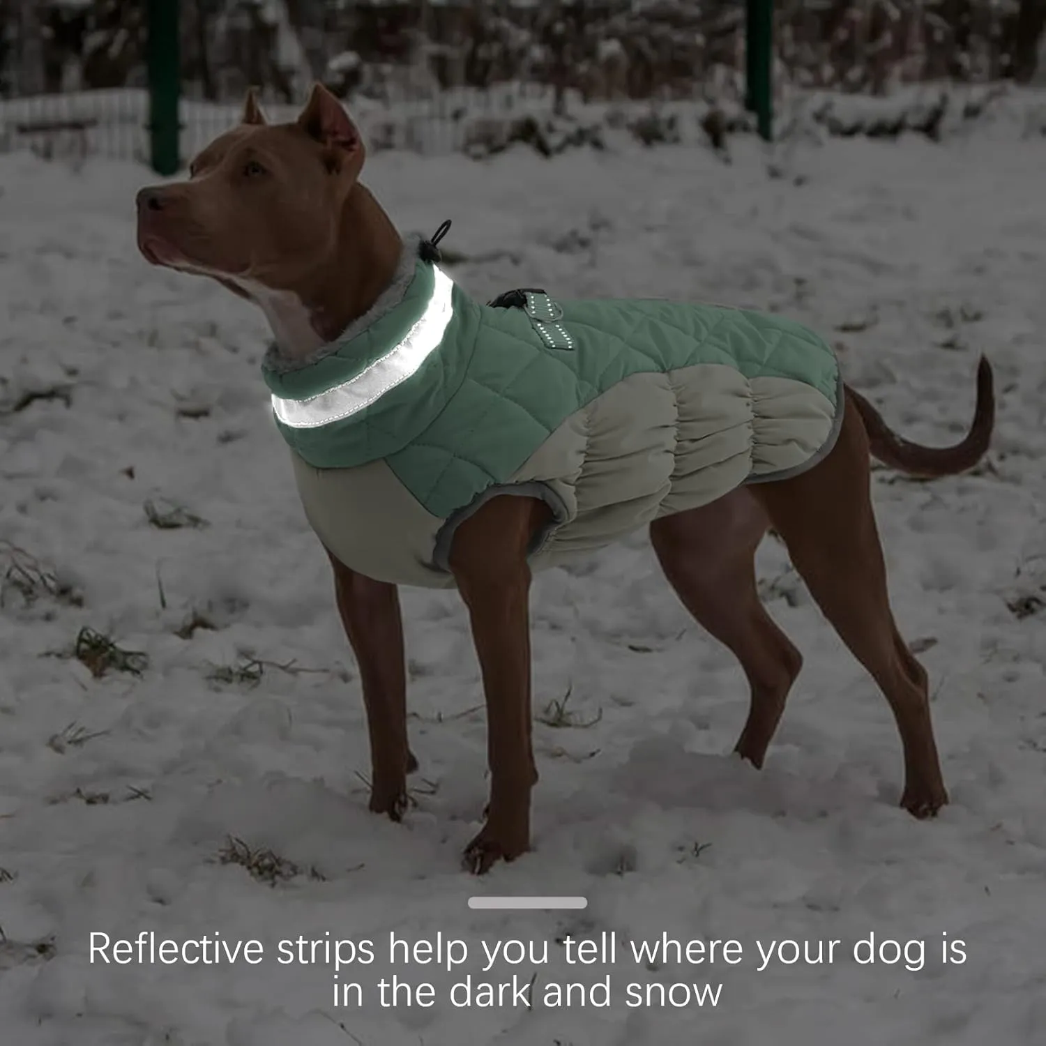 FUAMEY Dog Winter Jacket, Padded Dog Vest with Harness, Water Resistant Coat for Small to Large Dogs, Mint Green XL