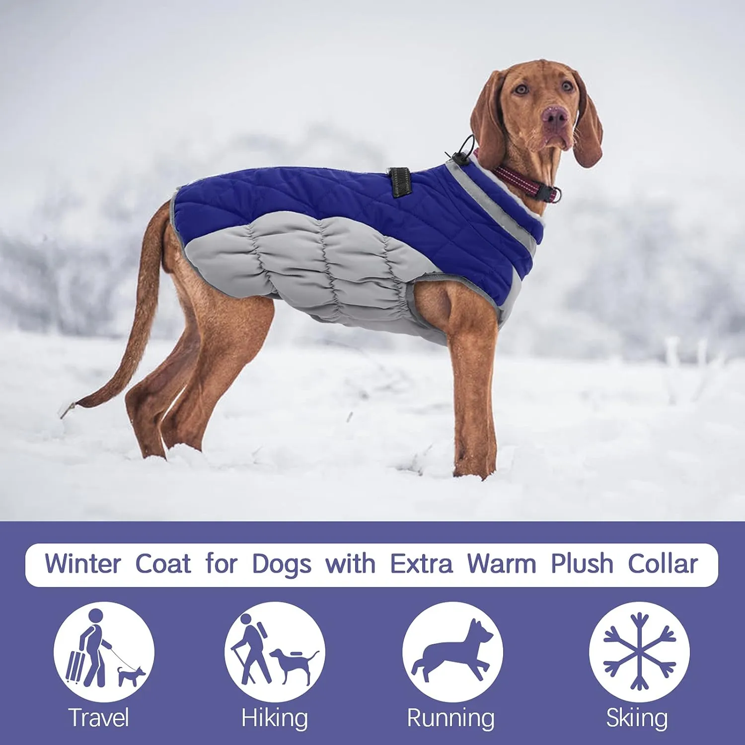 FUAMEY Warm Dog Jacket, Winter Coat with Padded Fleece, Reflective Vest, Built-in Harness, Waterproof & Windproof, Blue, X-Small