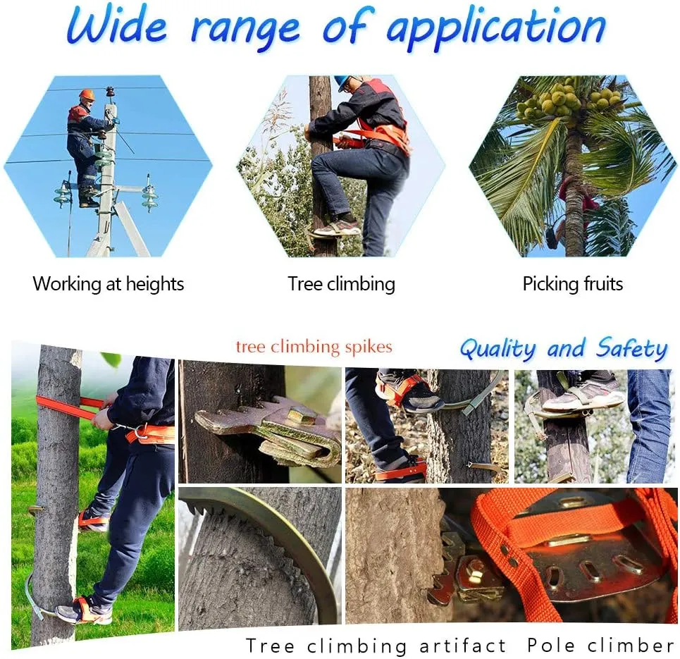 Gear Tree Climbing Spike Set, Tree Climbing Tool with Safe Belt, Stainless Steel Outdoor Sports Supplies for Hunting Observation, Picking Fruit,300model