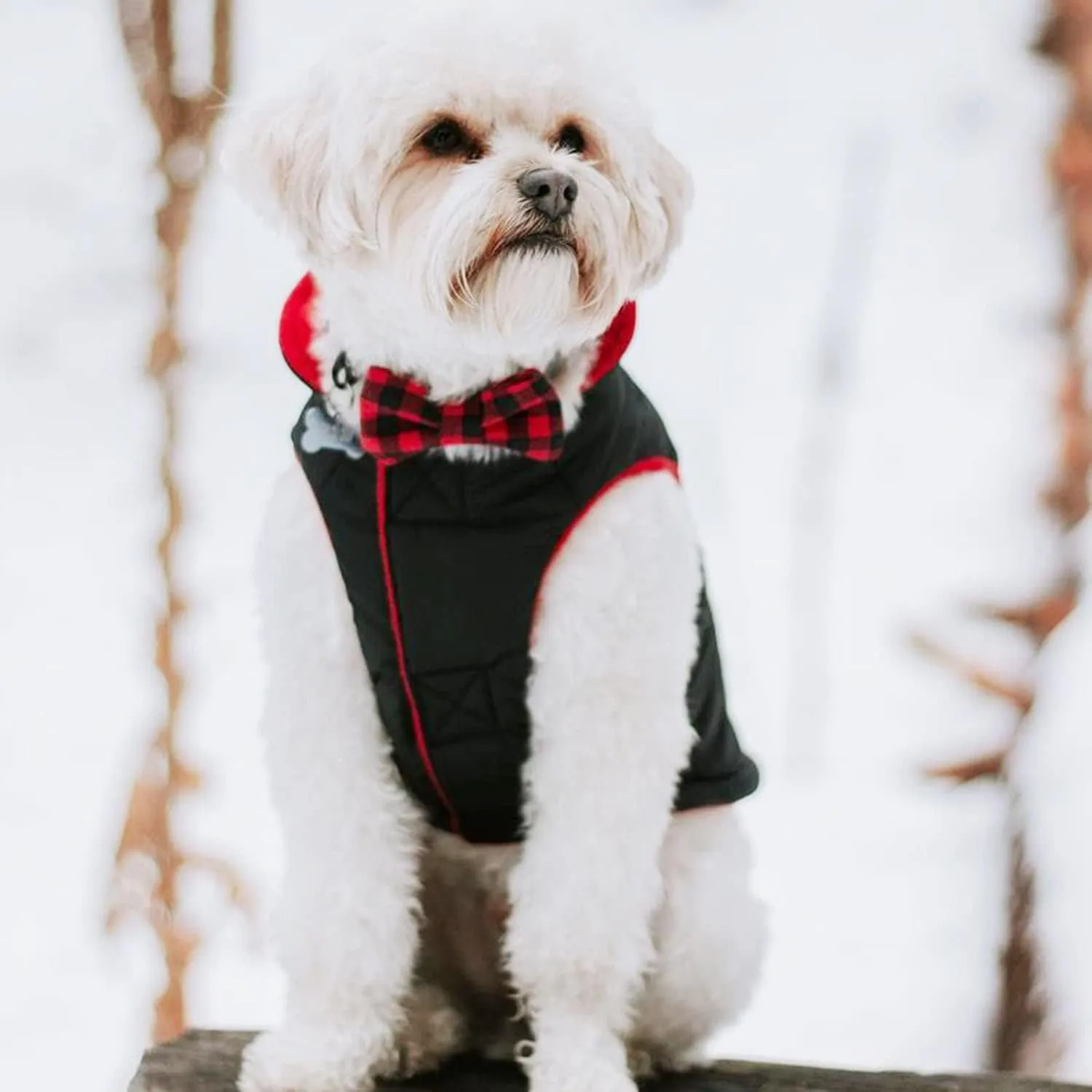 Gooby - Sports Vest, Fleece Lined Small Dog Cold Weather Jacket Coat Sweater with Reflective Lining, Black, Small