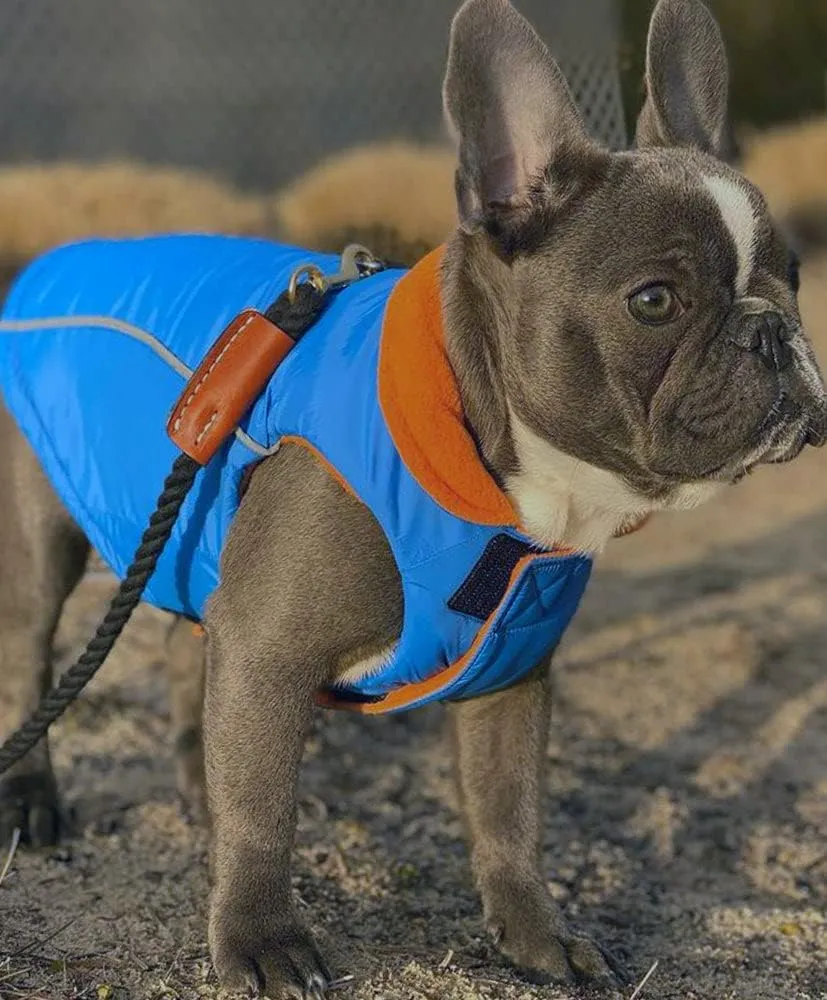 Gooby - Sports Vest, Fleece Lined Small Dog Cold Weather Jacket Coat Sweater with Reflective Lining, Blue, Large