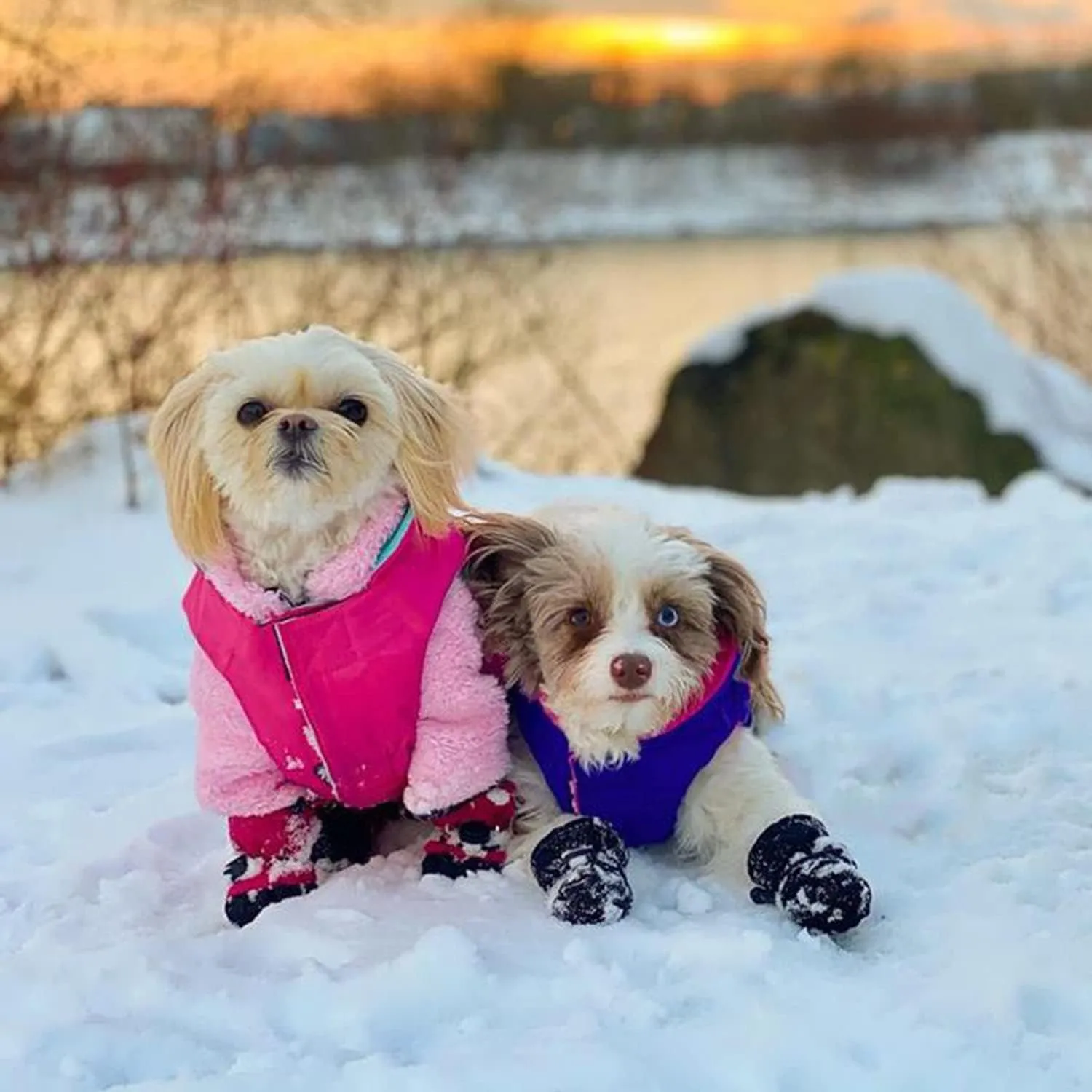 Gooby - Sports Vest, Fleece Lined Small Dog Cold Weather Jacket Coat Sweater with Reflective Lining, Pink, Large