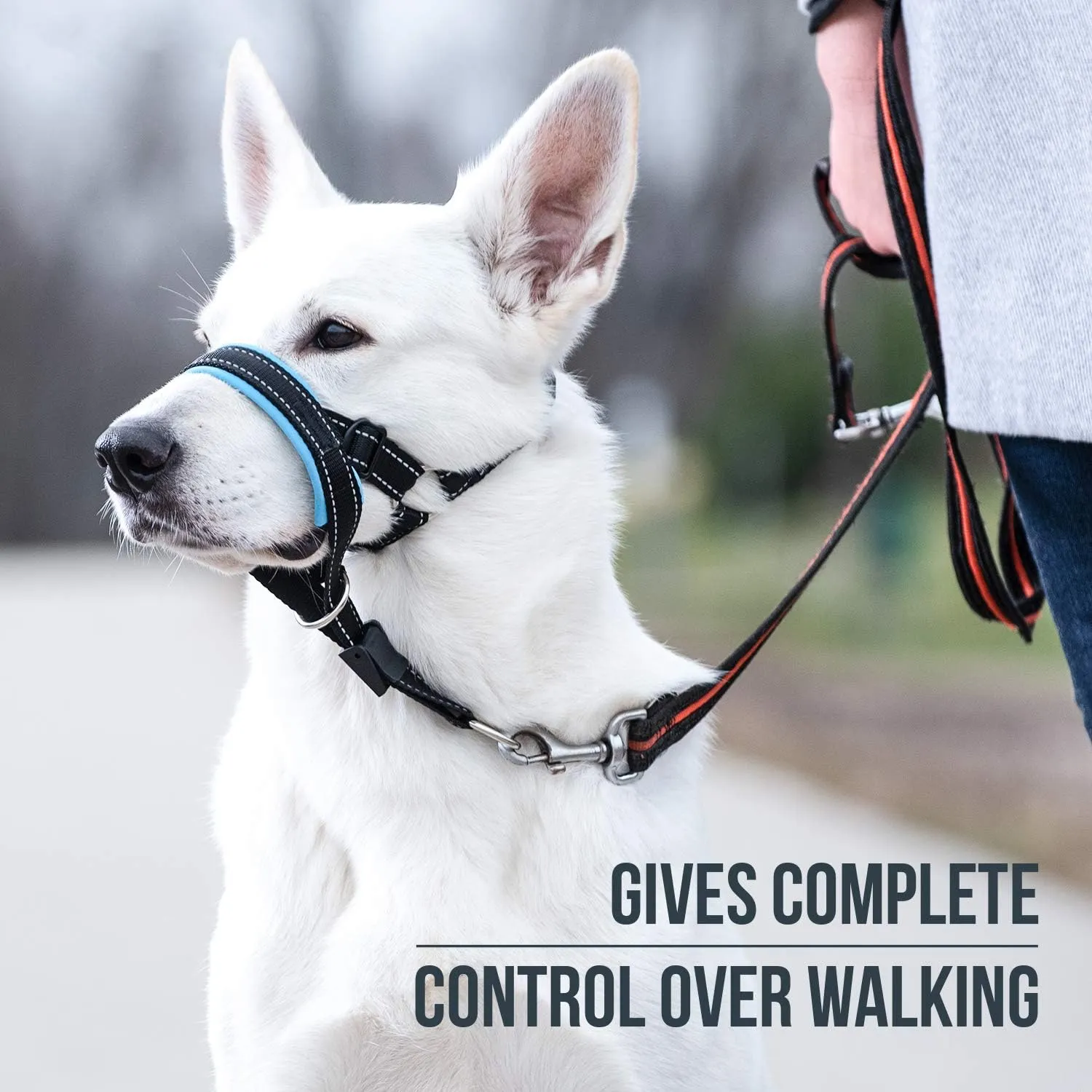 GoodBoy Dog Head Halter with Safety Strap - Stops Heavy Pulling On The Leash - Padded Headcollar for Small Medium and Large Dog Sizes - Head Collar Training Guide Included (Size 4, Blue)