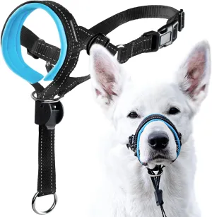 GoodBoy Dog Head Halter with Safety Strap - Stops Heavy Pulling On The Leash - Padded Headcollar for Small Medium and Large Dog Sizes - Head Collar Training Guide Included (Size 4, Blue)