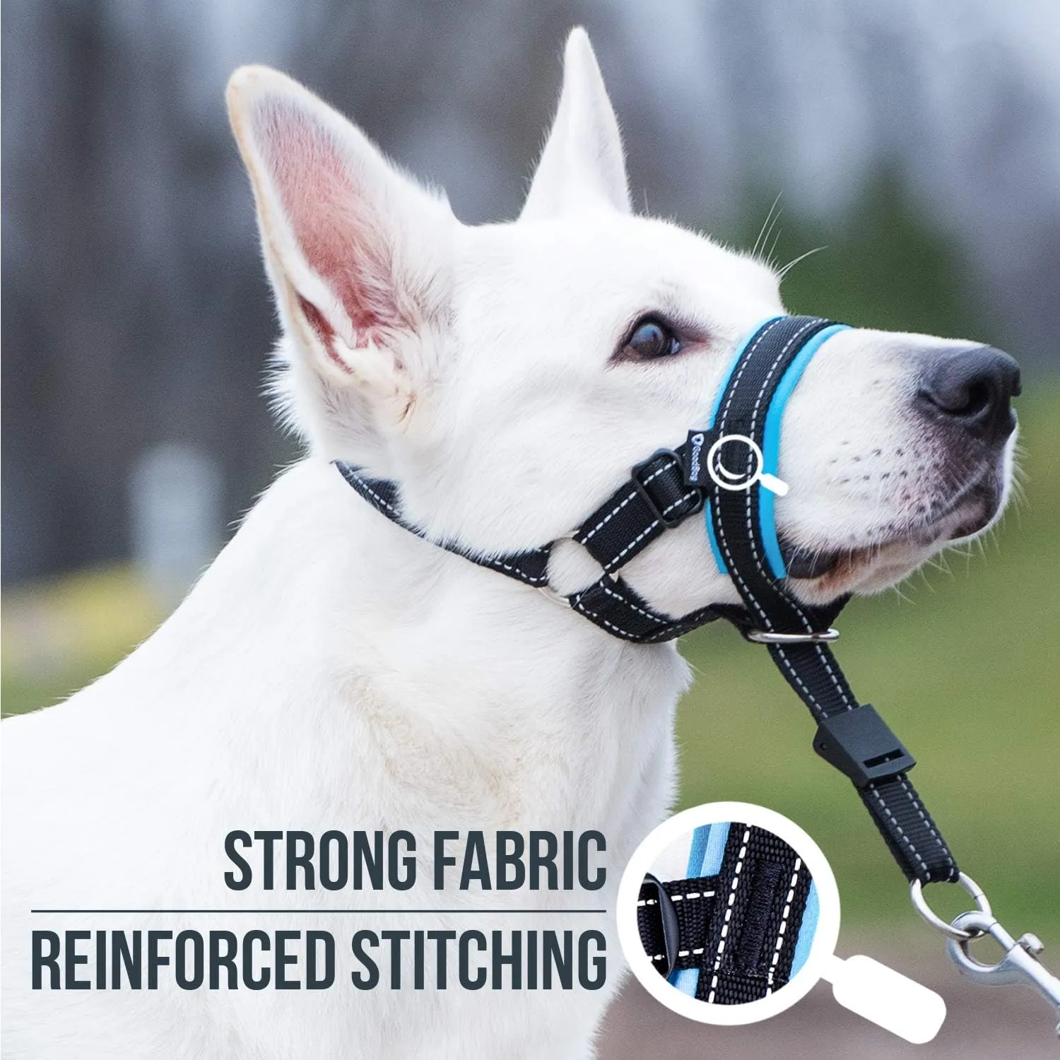 GoodBoy Dog Head Halter with Safety Strap - Stops Heavy Pulling On The Leash - Padded Headcollar for Small Medium and Large Dog Sizes - Head Collar Training Guide Included (Size 4, Blue)