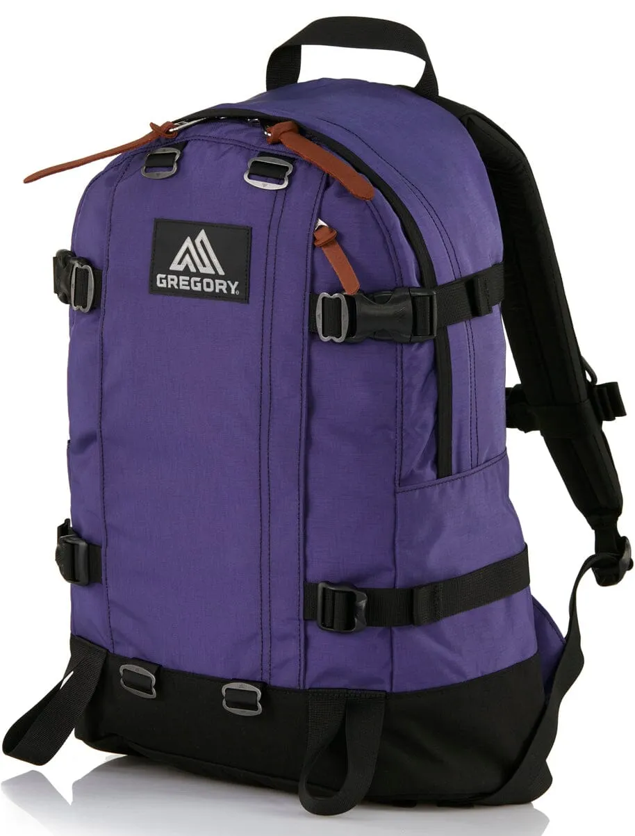 Gregory All Day V2.1 Backpack (24L)