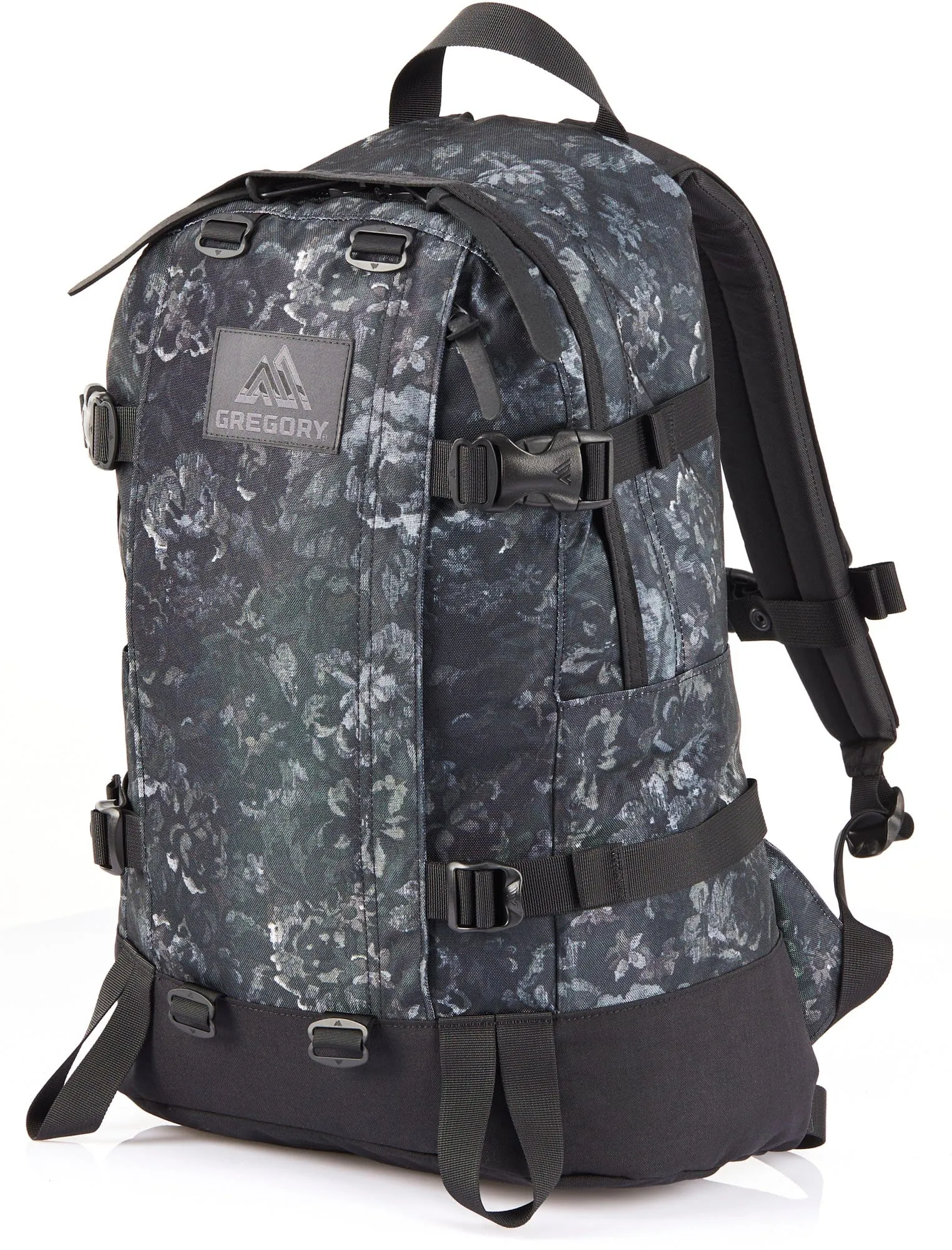 Gregory All Day V2.1 Backpack (24L)