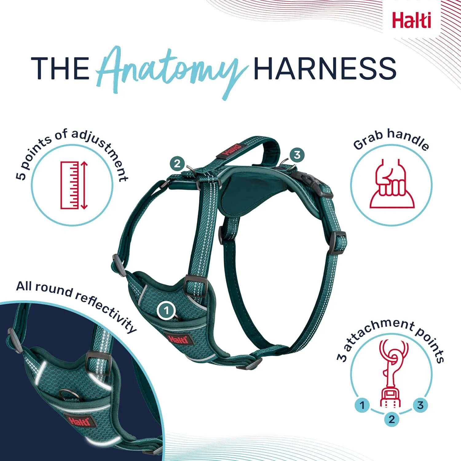 HALTI Anatomy Dog Harness with Handle - Provides Your Dog Freedom of Movement for Comfortable Walking. 3 Leash Attachment Points, Neoprene Padded, Adjustable, and Reflective (Size Large, Teal)