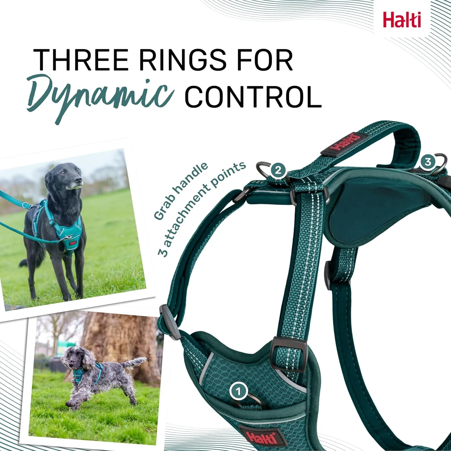 HALTI Anatomy Dog Harness with Handle - Provides Your Dog Freedom of Movement for Comfortable Walking. 3 Leash Attachment Points, Neoprene Padded, Adjustable, and Reflective (Size Large, Teal)