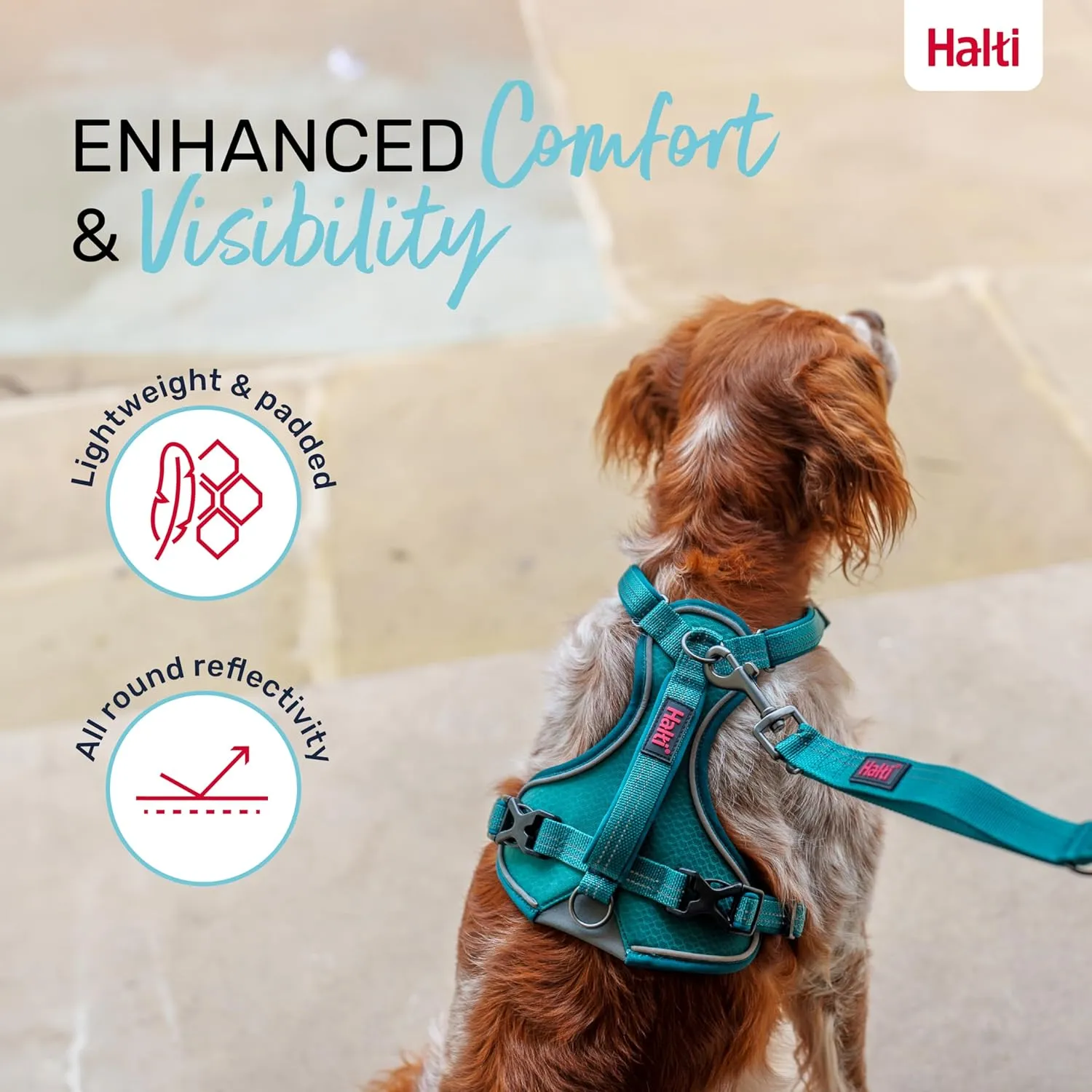 HALTI Anatomy Dog Harness with Handle - Provides Your Dog Freedom of Movement for Comfortable Walking. 3 Leash Attachment Points, Neoprene Padded, Adjustable, and Reflective (Size Large, Teal)