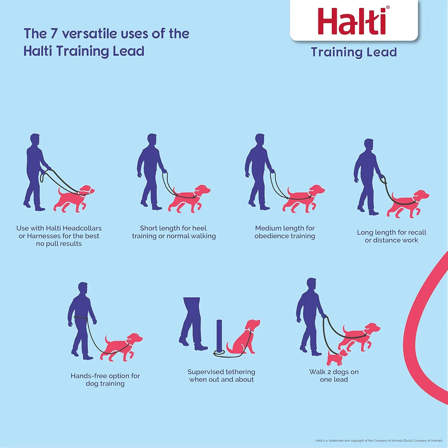 HALTI Training Leash - Multifunctional Double-Ended Dog Leash, Ideal for Anti-Pulling Dog Training. Easy to Use, Lightweight & Durable. Suitable for Medium to Large Dogs & Puppies (Size Large, Black)