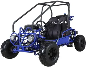 HHH Gokart GK110 Upgraded 125cc Go Kart Gas Fully Automtatic with Reverse Youth Kids 2 Seater 125cc Kart (Black Color)