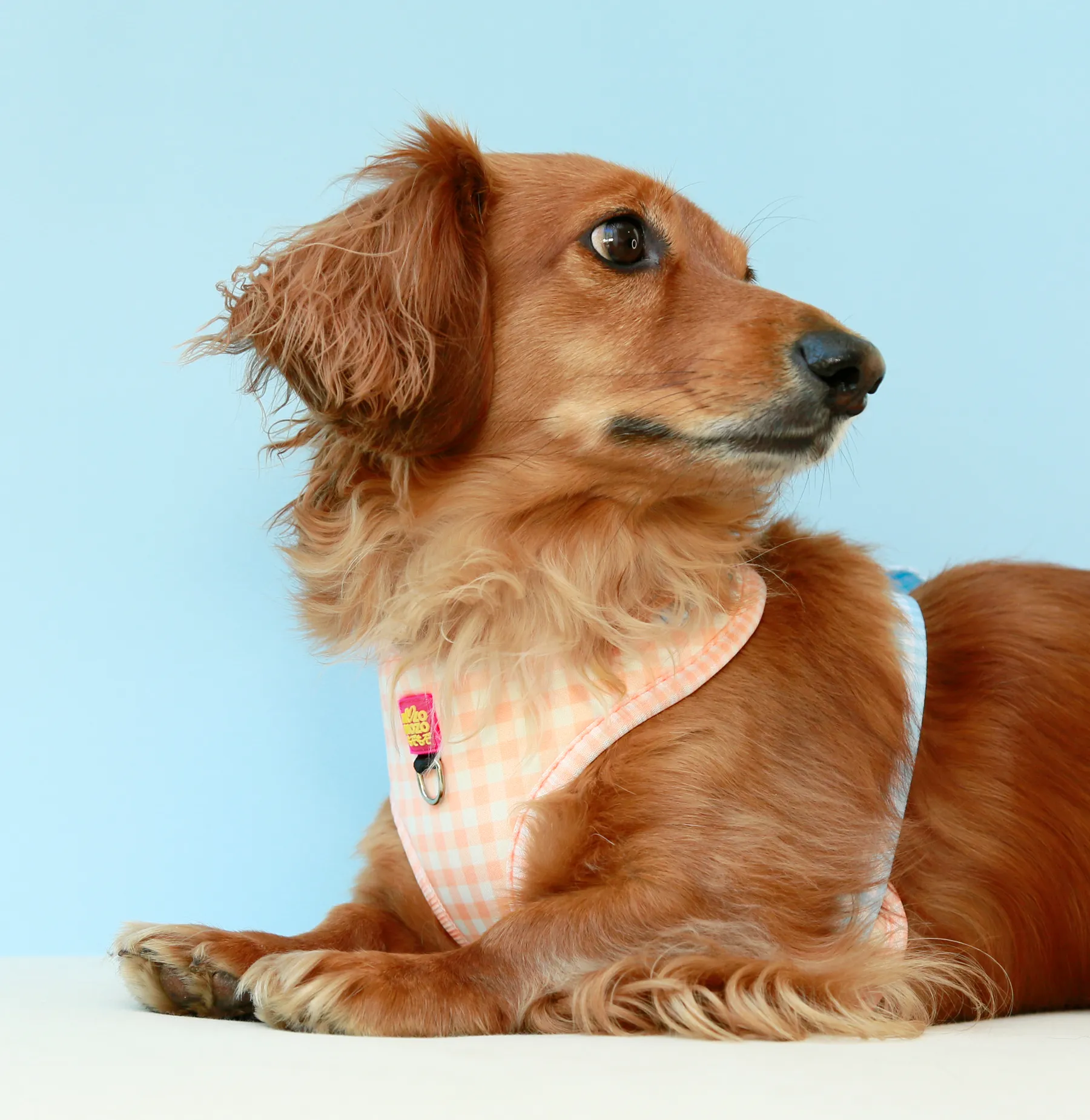 Honey gingham adjustable harness