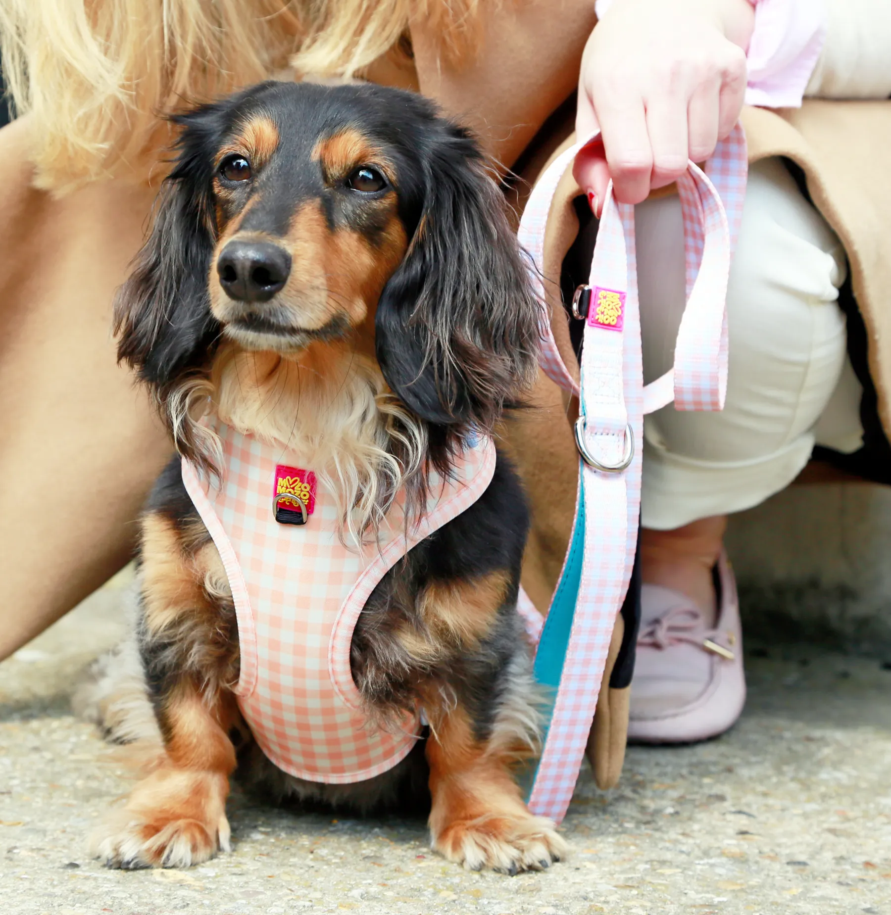 Honey gingham adjustable harness