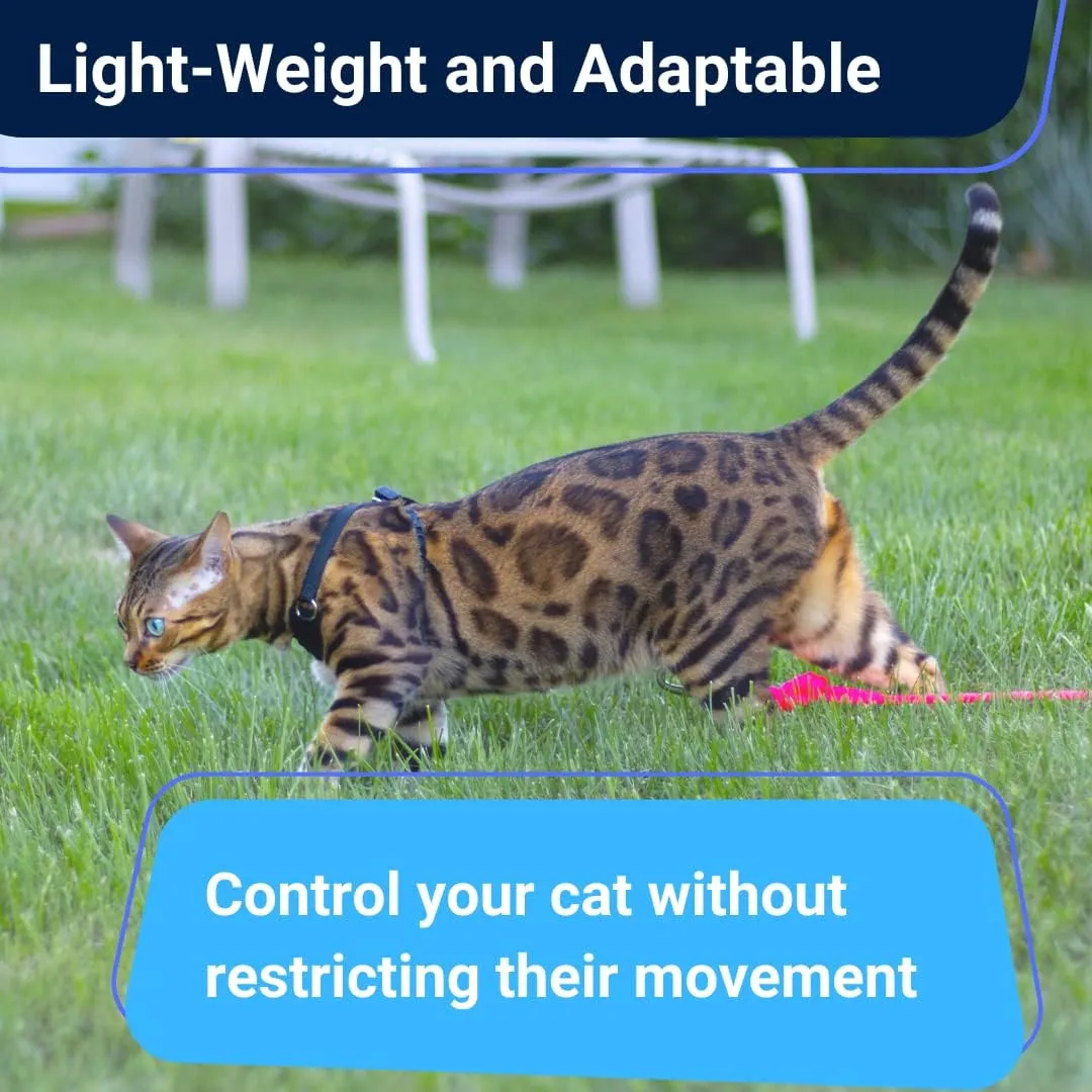 Houdini™ Escape Proof Cat Harness and Leash Set by OutdoorBengal – Black, Medium Cat Harness for Walking