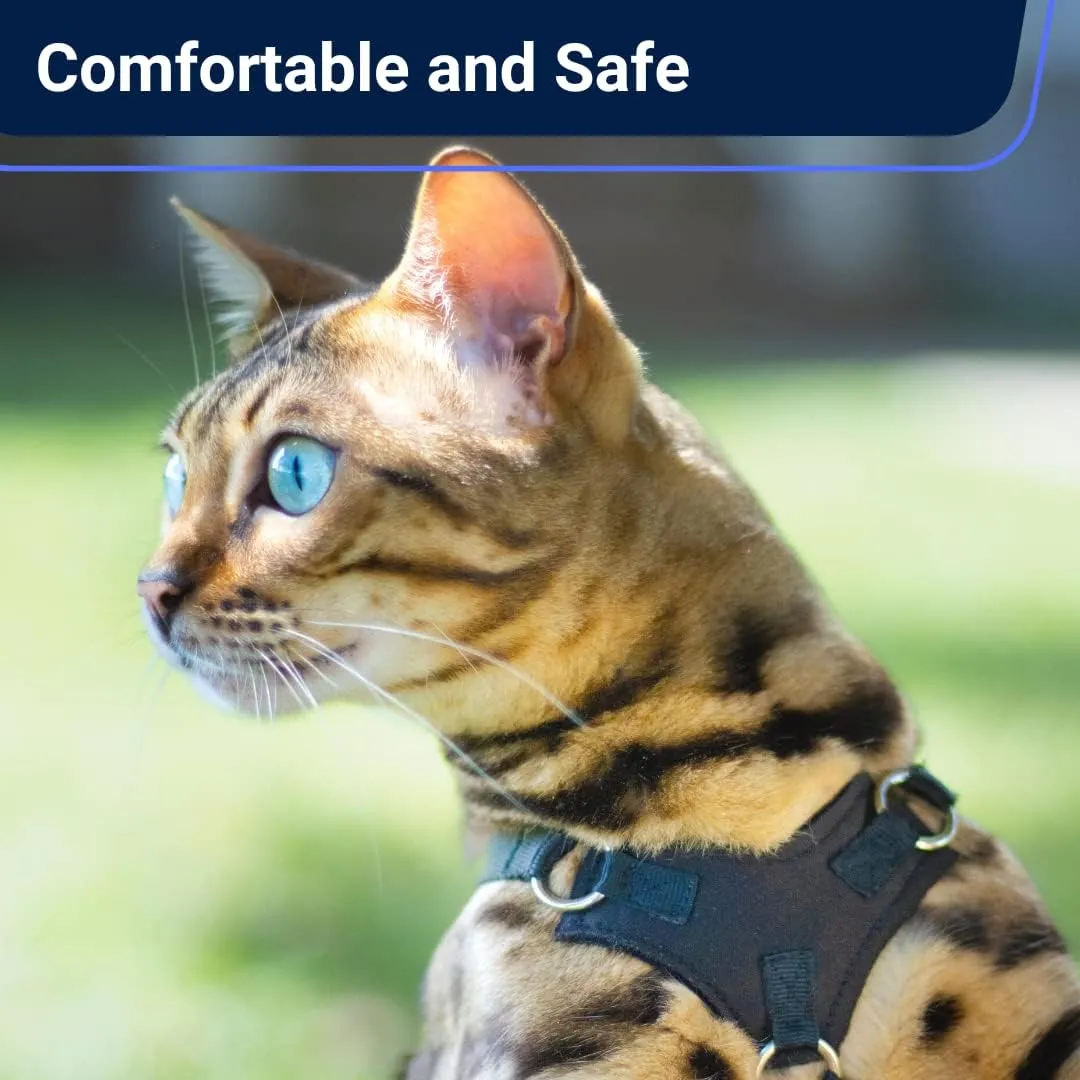 Houdini™ Escape Proof Cat Harness and Leash Set by OutdoorBengal – Black, Medium Cat Harness for Walking