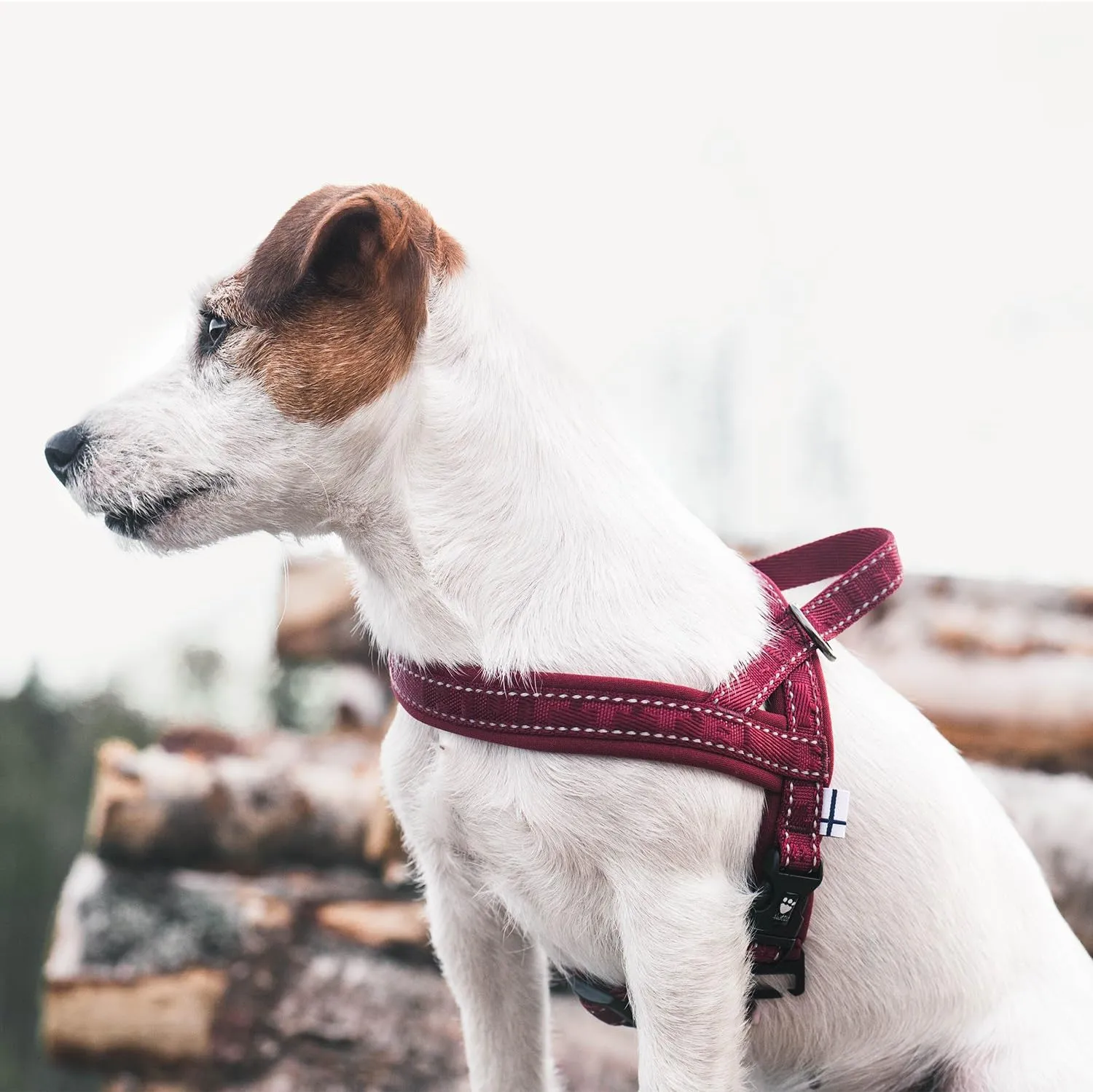 Hurtta Casual Padded Dog Harness, Raven, 24 in