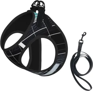 Infinite Mirror Pet Vest Small Size Dog Harness and Leash Set for Training, Reflective & Adjustable with Accessories Medium