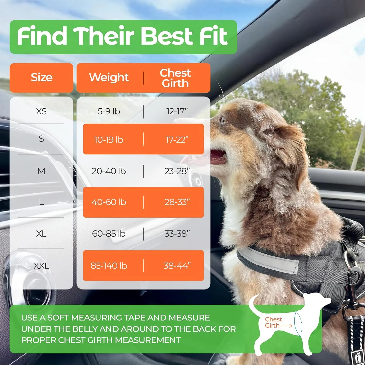 Joyride Basic Essential Dog Harness 1.0 - Small, Medium, Large Dogs, No-Pull Pet Vest with 3 Side Rings for Leash Placement, Adjustable for Training (Fall Stars, S)