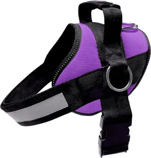 Joyride Basic Essential Dog Harness 1.0 - Small, Medium, Large Dogs, No-Pull Pet Vest with 3 Side Rings for Leash Placement, Adjustable for Training (Purple Majesty, 2XL)