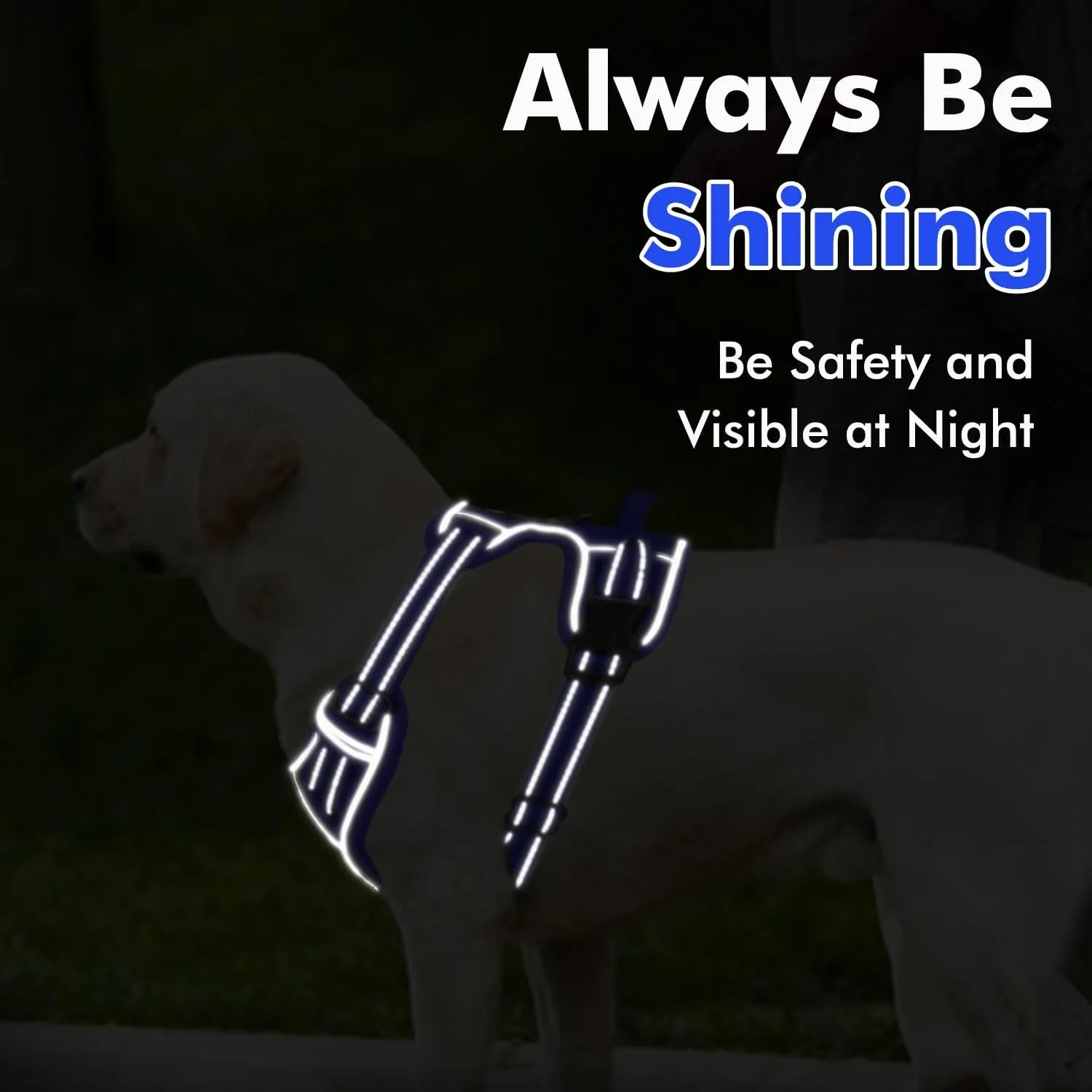 Joytale Step-in No Pull Dog Harness for Large Dogs with 2 Leash Clips, Reflective Pet Vest with Easy Control Handle, Adjustable Soft Padded Harness for Walking and Training, Royal Blue,L